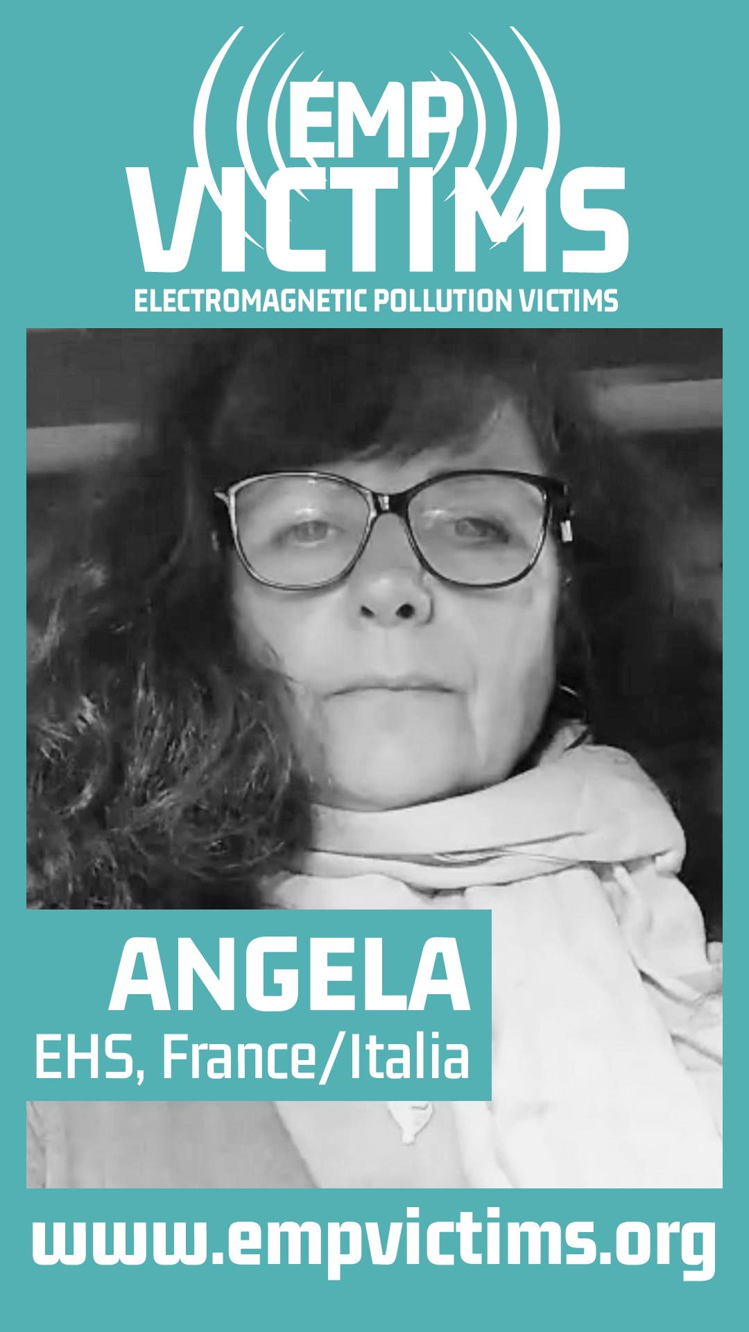 ANGELA, EHS - France
